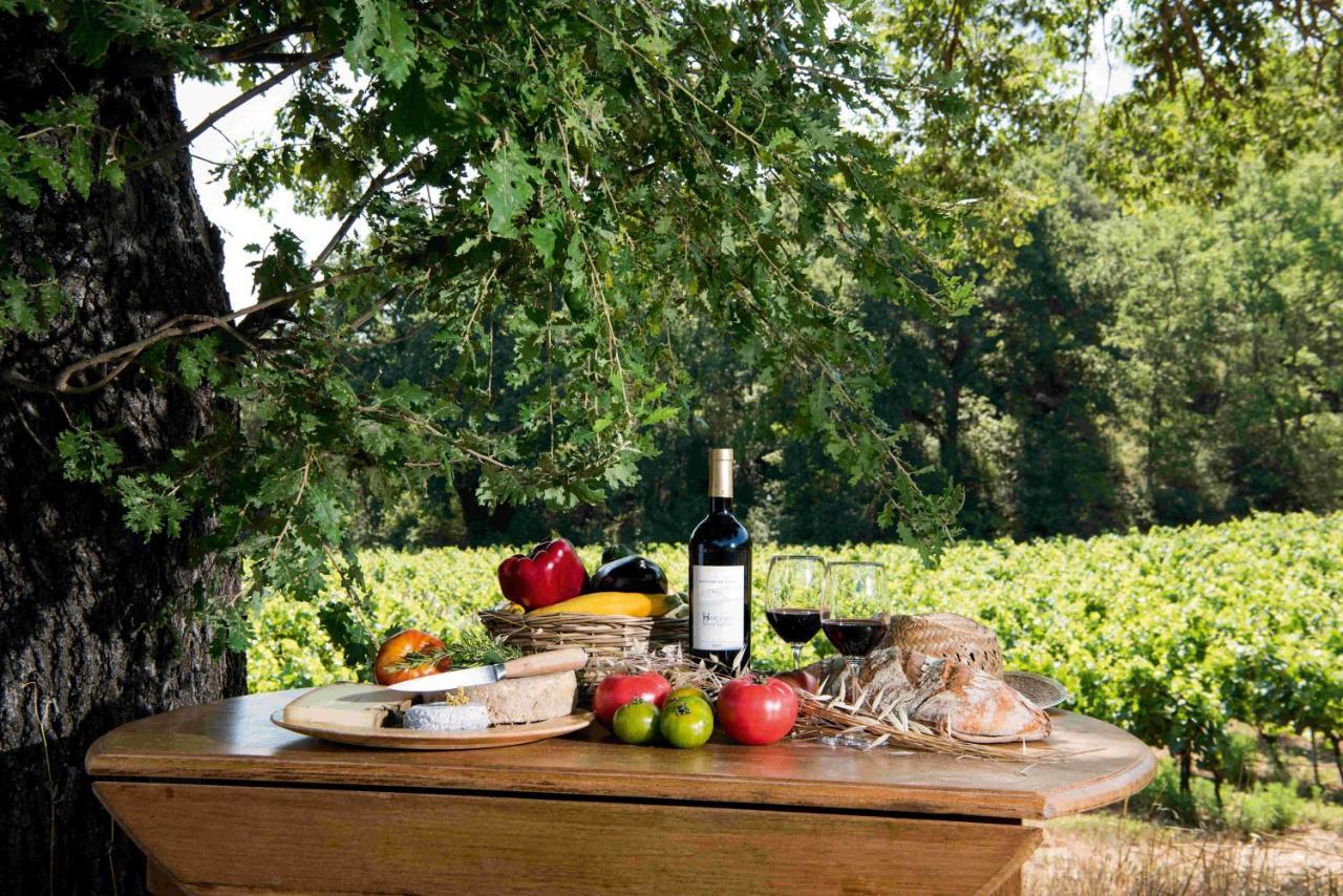 Bastide De Fave Bed and Breakfast Brue-Auriac Eksteriør billede